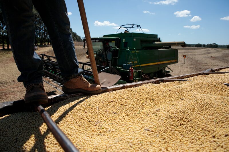 Soja en Brasil Soja en Brasil