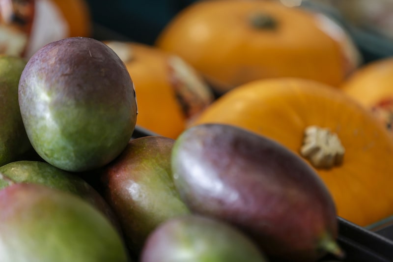 podrán ser degustados por guatemaltecos durante festival organizado por Agexport. podrán ser degustados por guatemaltecos durante festival organizado por Agexport.