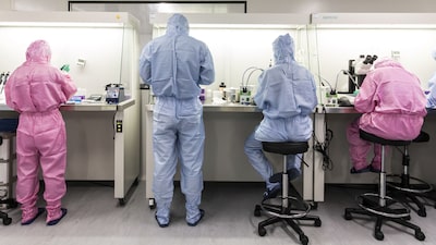 La ciencia avanza para descifrar por qué la “enfermedad del beso” deja secuelas La ciencia avanza para descifrar por qué la “enfermedad del beso” deja secuelas