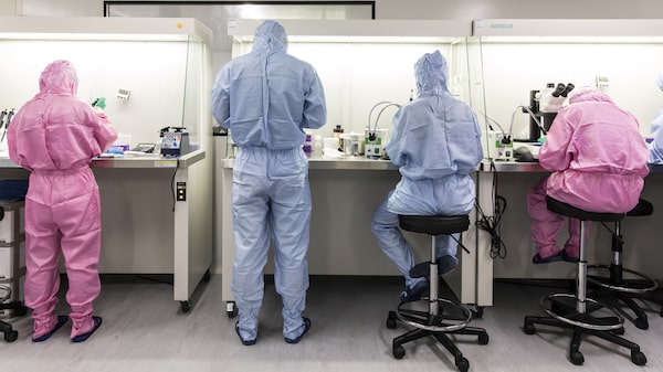 La ciencia avanza para descifrar por qué la “enfermedad del beso” deja secuelas La ciencia avanza para descifrar por qué la “enfermedad del beso” deja secuelas