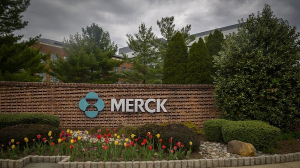 Merck supera previsiones de ventas por nuevos fármacos como Winrevair y Keytruda inyectable Merck supera previsiones de ventas por nuevos fármacos como Winrevair y Keytruda inyectable