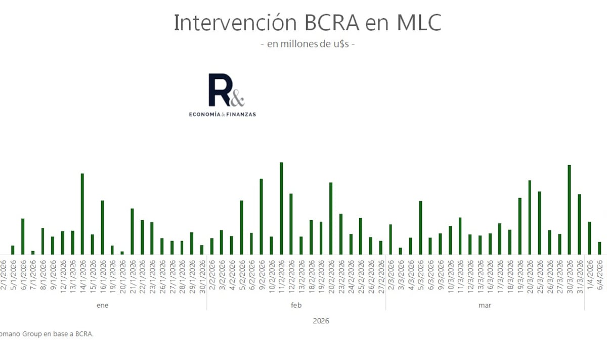 El BCRA anota la segunda mayor compra de reservas desde la llegada de Milei a Casa Rosada