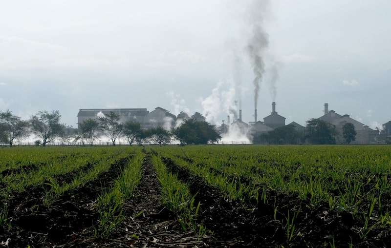 La destilería de etanol de Incauca SA en El Ortigal, cerca del oeste de Cali, Colombia La destilería de etanol de Incauca SA en El Ortigal, cerca del oeste de Cali, Colombia