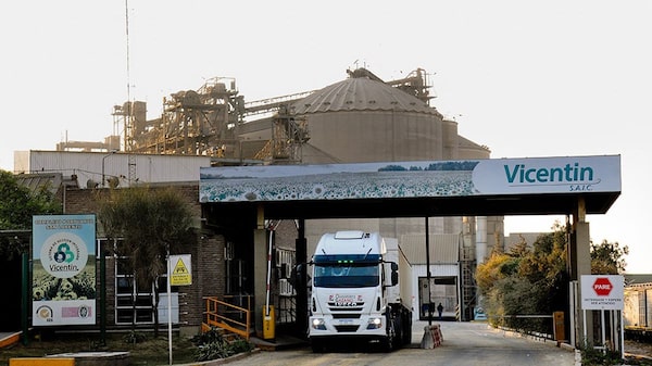 Vicentin: ¿Por qué corre riesgo el rescate de este gigante de la soja argentina? Vicentin: ¿Por qué corre riesgo el rescate de este gigante de la soja argentina?
