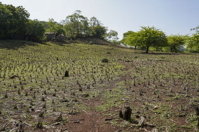 Emerging-Market Bonds Rally as Investors Seem to Downplay El Niño. Emerging-Market Bonds Rally as Investors Seem to Downplay El Niño.