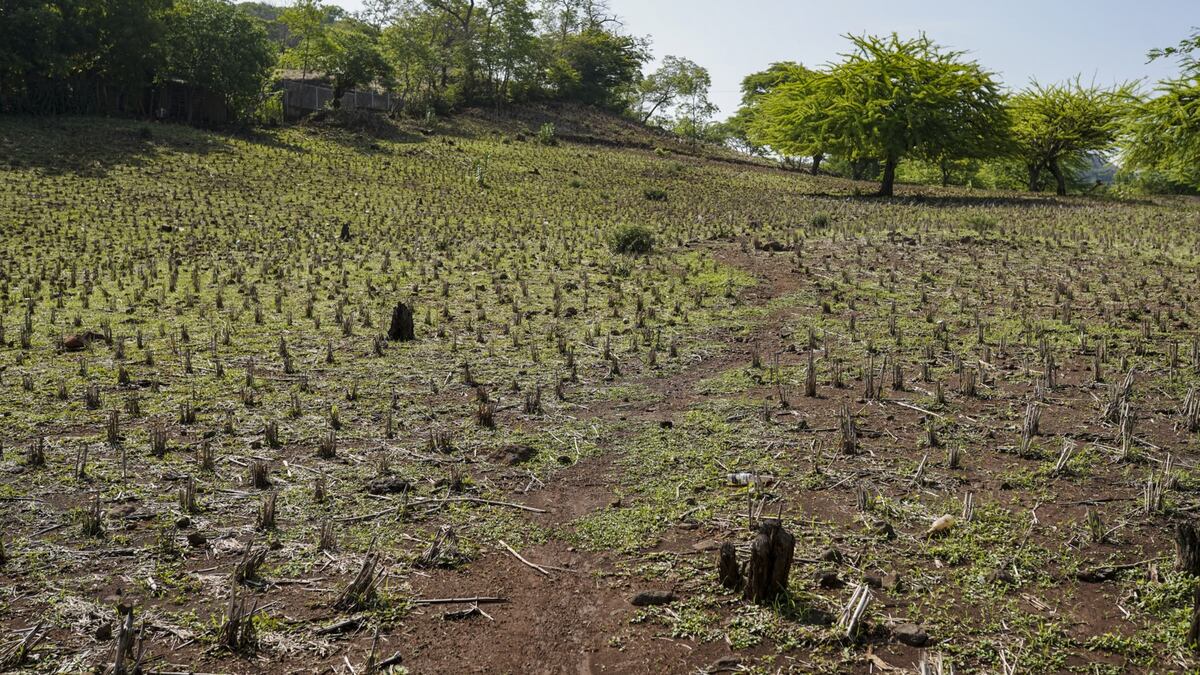 De la crisis en Irán al clima: El Niño abre un nuevo frente de riesgo para los inversionistas
