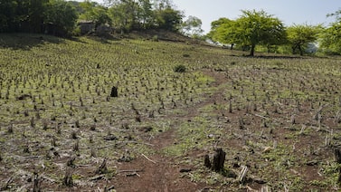 Qué es y pronósticos para Latinoamérica sobre el Súper El Niño 2026 Qué es y pronósticos para Latinoamérica sobre el Súper El Niño 2026
