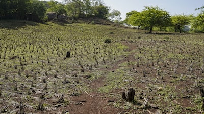 De la crisis en Irán al clima: El Niño abre un nuevo frente de riesgo para los inversionistas De la crisis en Irán al clima: El Niño abre un nuevo frente de riesgo para los inversionistas