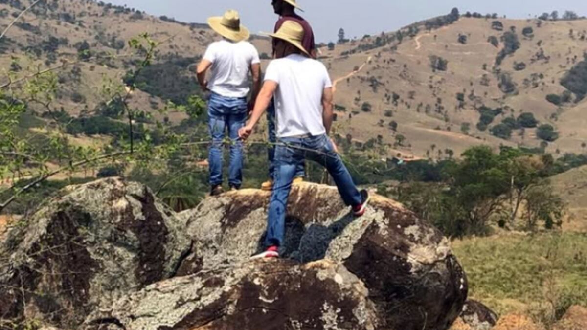 ‘Não queremos ser réplica da Toscana’: a visão de negócios da vinícola Rio Manso em MG