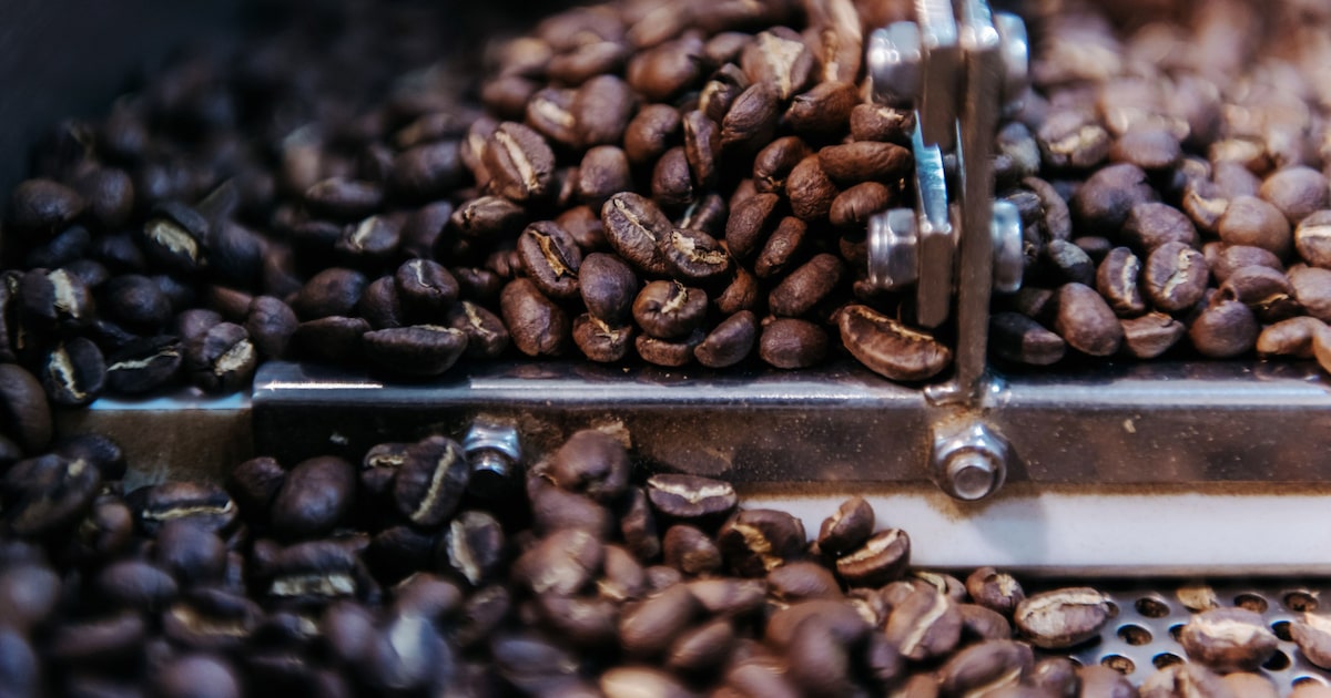 ARGENTINA INICIA PRODUCCIÓN DE CAFÉ DE ESPECIALIDAD