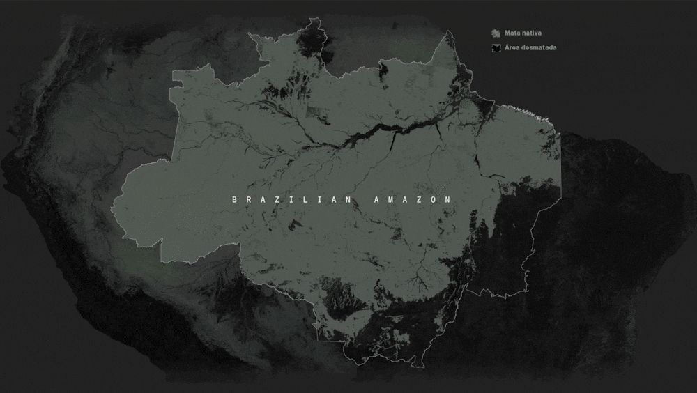 Proprietários de fazendas na Amazônia estão legalmente autorizados a desmatar uma parte de suas terras Proprietários de fazendas na Amazônia estão legalmente autorizados a desmatar uma parte de suas terras