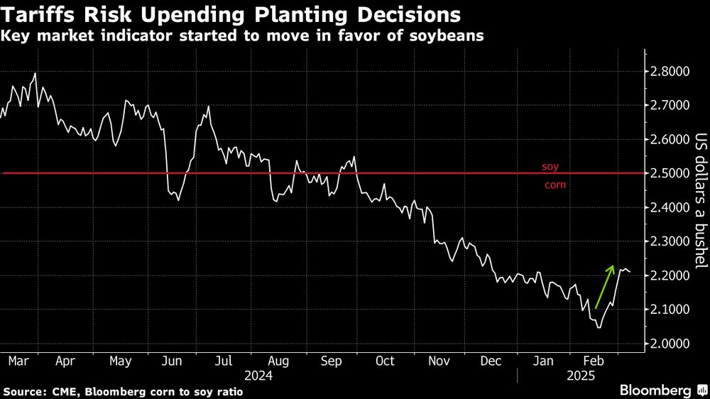 Los aranceles corren el riesgo de trastocar las decisiones de plantación. Los aranceles corren el riesgo de trastocar las decisiones de plantación.