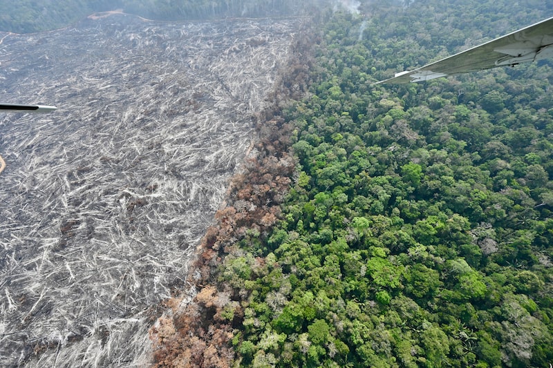 Vista aérea de local desmatado na Amazônia Vista aérea de local desmatado na Amazônia