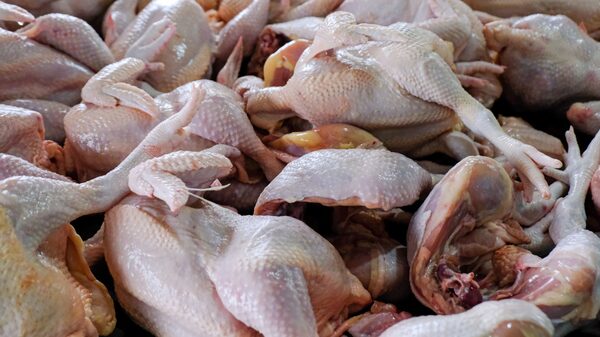 Inflación en Dominicana se mantiene sobre 9%: ¿Cuáles productos subieron en junio? Inflación en Dominicana se mantiene sobre 9%: ¿Cuáles productos subieron en junio?