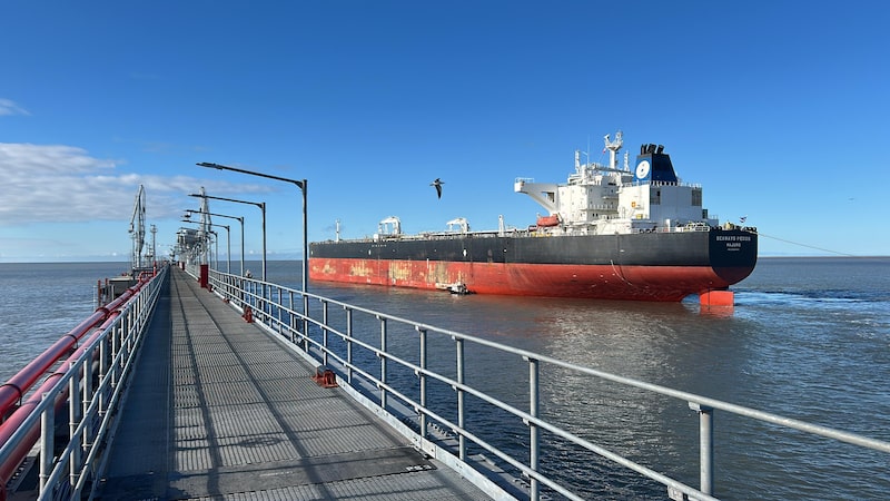 Vaca Muerta Vaca Muerta