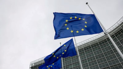 Países da UE aprovam acordo com o Mercosul apesar da oposição da França, dizem fontes Países da UE aprovam acordo com o Mercosul apesar da oposição da França, dizem fontes