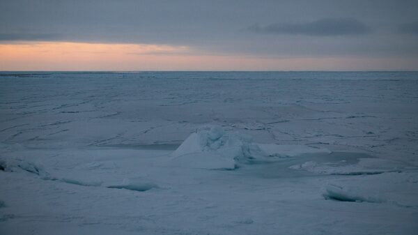 Cómo los turistas ricos podrían ayudar a preservar el Ártico Cómo los turistas ricos podrían ayudar a preservar el Ártico