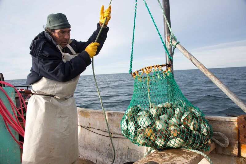 Barco pesquero. Barco pesquero.