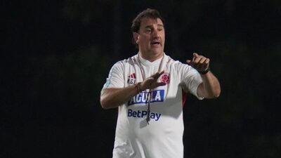 Copa América: el millonario salario de Néstor Lorenzo como DT de la selección de Colombia Copa América: el millonario salario de Néstor Lorenzo como DT de la selección de Colombia