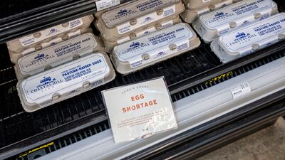 Preço do ovo sobe 15% em um mês nos EUA e ajuda a elevar a inflação no país Preço do ovo sobe 15% em um mês nos EUA e ajuda a elevar a inflação no país