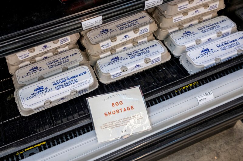 Os preços dos ovos bateram recorde após recorde nos últimos meses, com o custo de uma dúzia em média de US$ 7,34 em todo o país Os preços dos ovos bateram recorde após recorde nos últimos meses, com o custo de uma dúzia em média de US$ 7,34 em todo o país