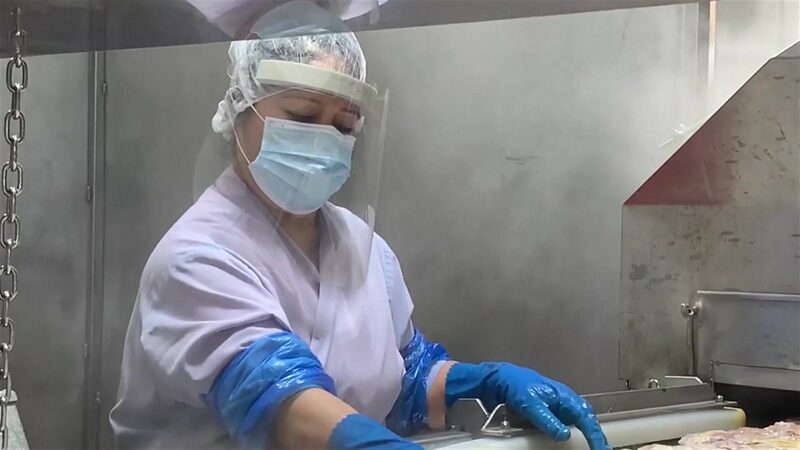 ¿Cuál es el futuro para la educación y el trabajo? ¿Cuál es el futuro para la educación y el trabajo?