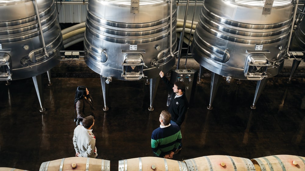 Foto: Gentileza Trivento Foto: Gentileza Trivento