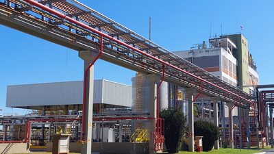 Como a Basf planeja crescer em insumos agrícolas com o mercado em transformação Como a Basf planeja crescer em insumos agrícolas com o mercado em transformação