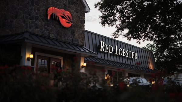 Camarão à vontade: Red Lobster planeja volta de promoção popular que gerou crise Camarão à vontade: Red Lobster planeja volta de promoção popular que gerou crise