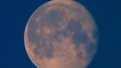 Cómo ver la Luna de Esturión esta noche desde Colombia, Perú, México y otros países Cómo ver la Luna de Esturión esta noche desde Colombia, Perú, México y otros países