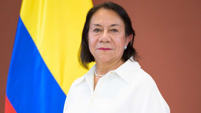 Quién es Rosa Villavicencio, el remplazo de Laura Sarabia en la Cancillería de Colombia. Quién es Rosa Villavicencio, el remplazo de Laura Sarabia en la Cancillería de Colombia.