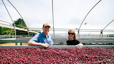 Xícara de café por US$ 1.000: como fazenda do Panamá bateu recordes em venda a Dubai Xícara de café por US$ 1.000: como fazenda do Panamá bateu recordes em venda a Dubai