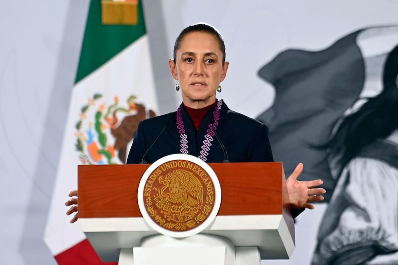 La presidenta de México, Claudia Sheinbaum. La presidenta de México, Claudia Sheinbaum.
