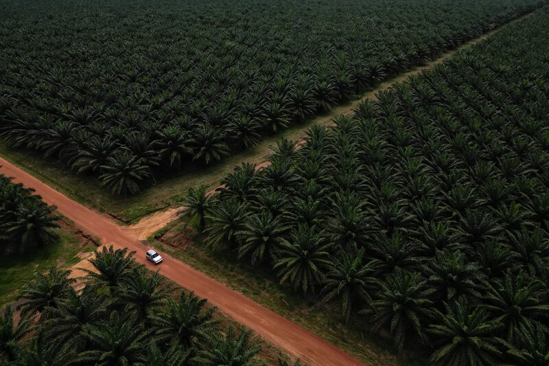 Las bandas de extorsión invaden la mayor región petrolera de Colombia Las bandas de extorsión invaden la mayor región petrolera de Colombia