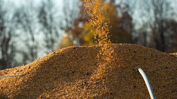 Aceite de soja alcanza otro máximo histórico ante temor de escasez mundial Aceite de soja alcanza otro máximo histórico ante temor de escasez mundial
