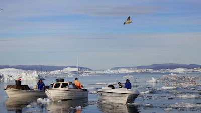 ¿Cuántos habitantes hay en Groenlandia? La pesca impulsa la economía de esta isla danesa ¿Cuántos habitantes hay en Groenlandia? La pesca impulsa la economía de esta isla danesa