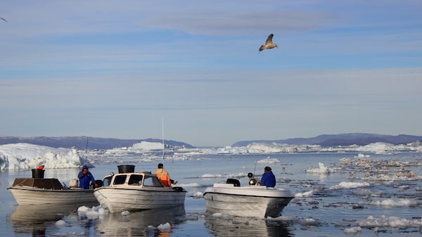 ¿Cuántos habitantes hay en Groenlandia? La pesca impulsa la economía de esta isla danesa ¿Cuántos habitantes hay en Groenlandia? La pesca impulsa la economía de esta isla danesa