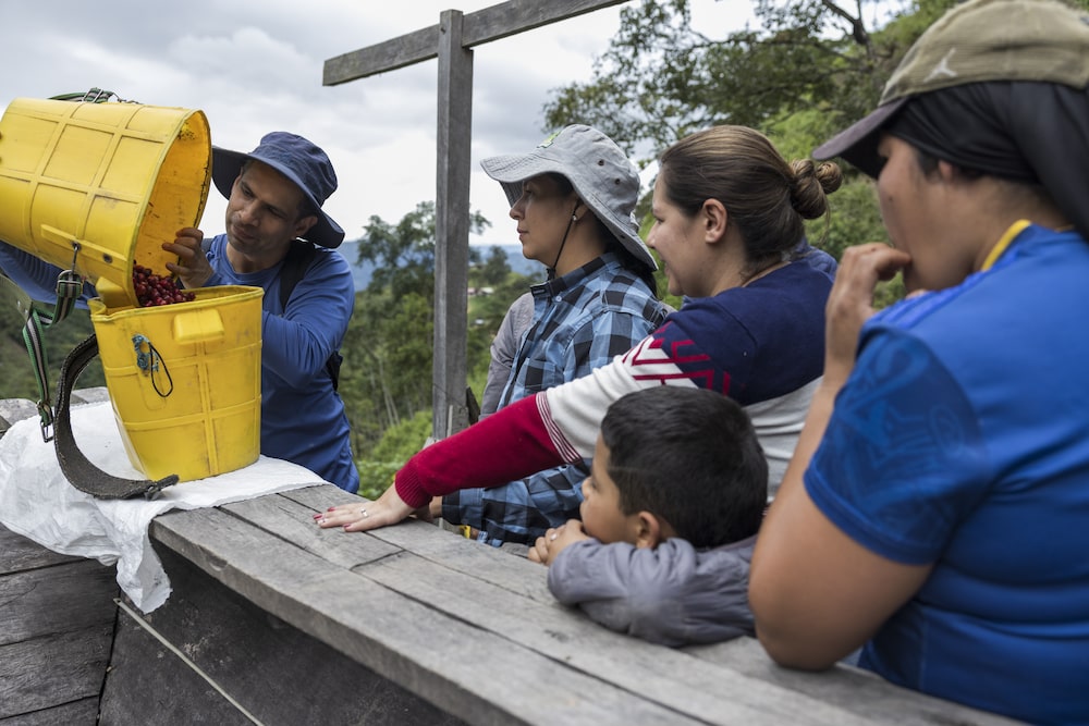 Mujeres aprenden a seleccionar cerezas de café durante una cosecha comunitaria en Huila. Fotógrafo: Fernanda Pineda/Bloomberg. Mujeres aprenden a seleccionar cerezas de café durante una cosecha comunitaria en Huila. Fotógrafo: Fernanda Pineda/Bloomberg.