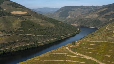 Além do ‘vinho português’: país busca mostrar diferenças que vão do Alentejo ao Douro Além do ‘vinho português’: país busca mostrar diferenças que vão do Alentejo ao Douro