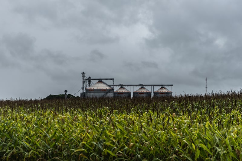 A Brazilian Grain Harvest As Iran War Threatens Supply Disruptions A Brazilian Grain Harvest As Iran War Threatens Supply Disruptions