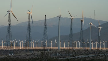 Acciones ecológicas: las grandes ganadoras mientras el auge tecnológico impulsa la demanda energética Acciones ecológicas: las grandes ganadoras mientras el auge tecnológico impulsa la demanda energética