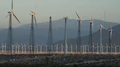 Acciones ecológicas: las grandes ganadoras mientras el auge tecnológico impulsa la demanda energética Acciones ecológicas: las grandes ganadoras mientras el auge tecnológico impulsa la demanda energética