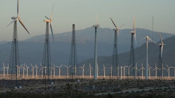 Acciones ecológicas: las grandes ganadoras mientras el auge tecnológico impulsa la demanda energética Acciones ecológicas: las grandes ganadoras mientras el auge tecnológico impulsa la demanda energética