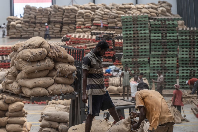 Operaciones en la planta de procesamiento de cacao de Awazen Operaciones en la planta de procesamiento de cacao de Awazen