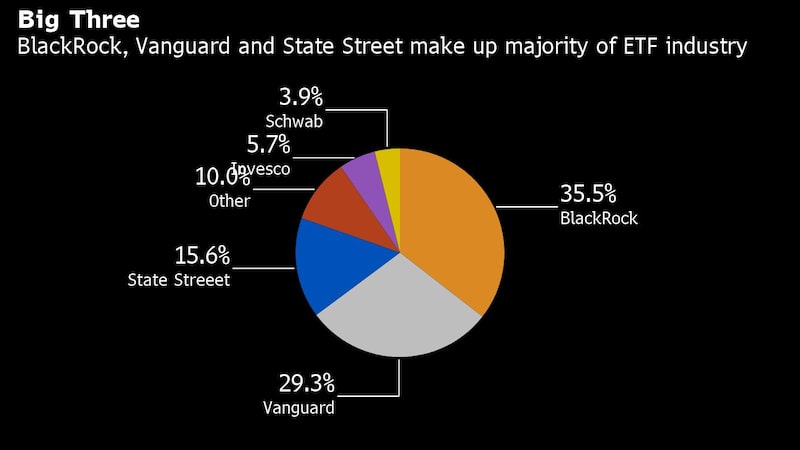 Gigantes como BlackRock podem ajudar a evitar caos das bolsas Gigantes como BlackRock podem ajudar a evitar caos das bolsas