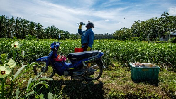 Para vencer al calor, tendremos que convertir nuestras casas en baterías Para vencer al calor, tendremos que convertir nuestras casas en baterías