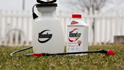 Júri condena a Monsanto, da Bayer, a pagar US$ 332 mi em polêmico caso sobre o Roundup Júri condena a Monsanto, da Bayer, a pagar US$ 332 mi em polêmico caso sobre o Roundup