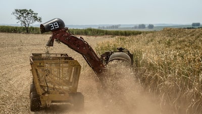 Azúcar repunta por segundo día ante temores de menor producción en Brasil Azúcar repunta por segundo día ante temores de menor producción en Brasil