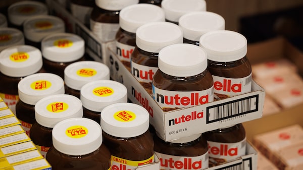 Do cacau ao leite: Ferrero vê agricultura como a próxima fronteira da descarbonização Do cacau ao leite: Ferrero vê agricultura como a próxima fronteira da descarbonização