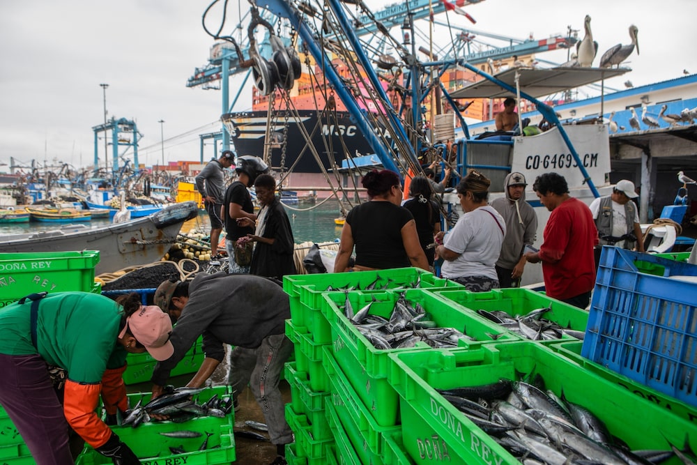 (Foto: Bloomberg) (Foto: Bloomberg)